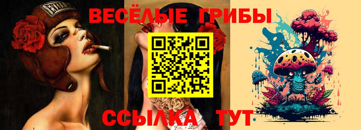 сколько стоит  Галлюциногенные грибы ЛСД  Псилоцибиновые грибы GOLDEN TEACHER  Вход с VPN  Благовещенск 